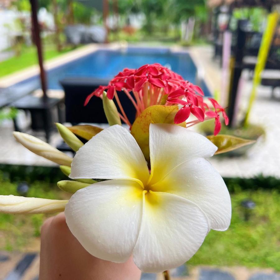 Wirason Residence Lamai Beach  Eksteriør billede